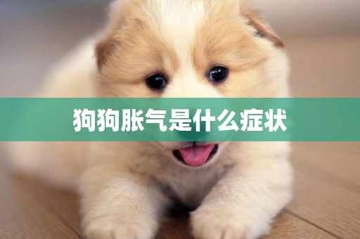 狗狗脹氣是什么癥狀