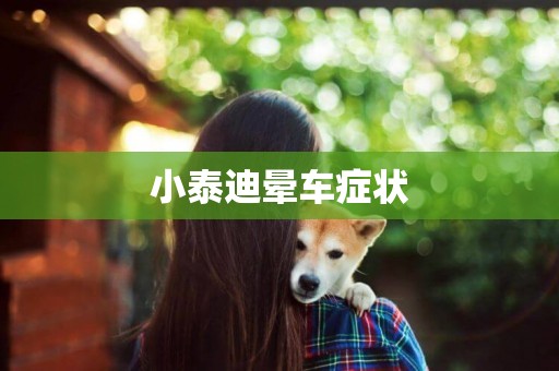 小泰迪暈車癥狀