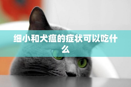 細小和犬瘟的癥狀可以吃什么