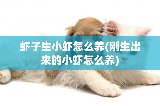 蝦子生小蝦怎么養(剛生出來的小蝦怎么養)