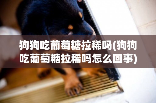 狗狗吃葡萄糖拉稀嗎(狗狗吃葡萄糖拉稀嗎怎么回事)