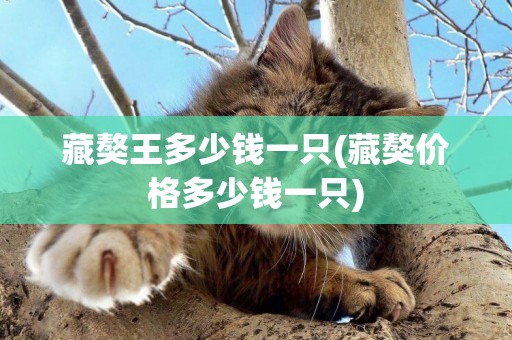 藏獒王多少錢一只(藏獒價格多少錢一只)