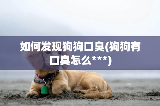 如何發現狗狗口臭(狗狗有口臭怎么***)