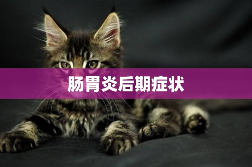 腸胃炎后期癥狀