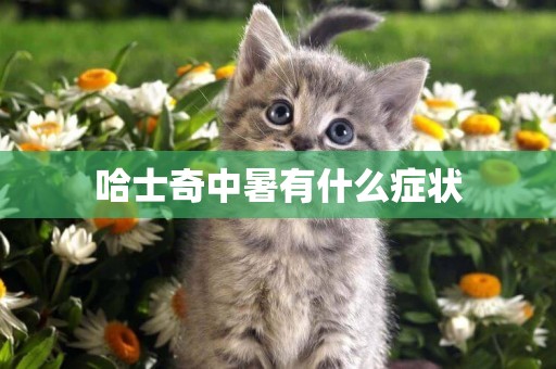 哈士奇中暑有什么癥狀