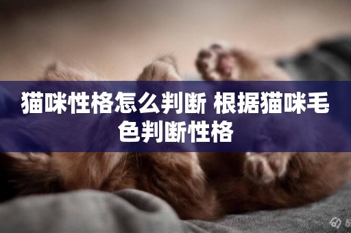 貓咪性格怎么判斷 根據貓咪毛色判斷性格
