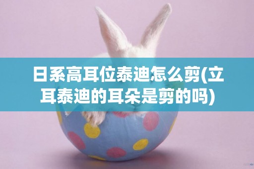 日系高耳位泰迪怎么剪(立耳泰迪的耳朵是剪的嗎)