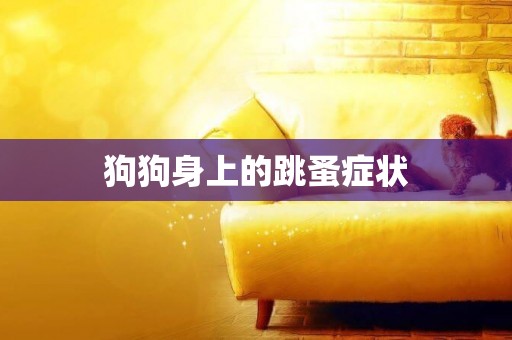 狗狗身上的跳蚤癥狀