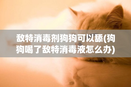 敵特消毒劑狗狗可以舔(狗狗喝了敵特消毒液怎么辦)