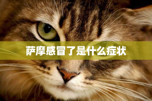 薩摩感冒了是什么癥狀