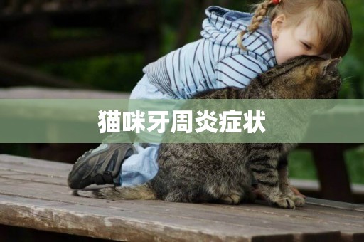 貓咪牙周炎癥狀