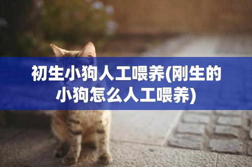 初生小狗人工喂養(剛生的小狗怎么人工喂養)