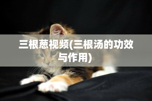 三根蔥視頻(三根湯的功效與作用) 