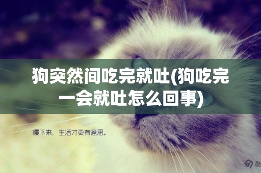 狗突然間吃完就吐(狗吃完一會就吐怎么回事)