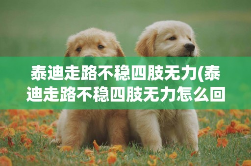 泰迪走路不穩四肢無力(泰迪走路不穩四肢無力怎么回事)