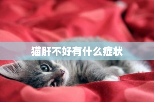 貓肝不好有什么癥狀