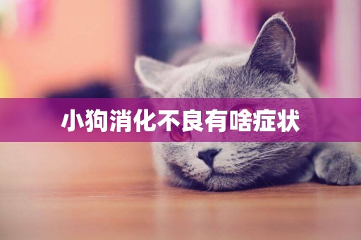 小狗消化不良有啥癥狀