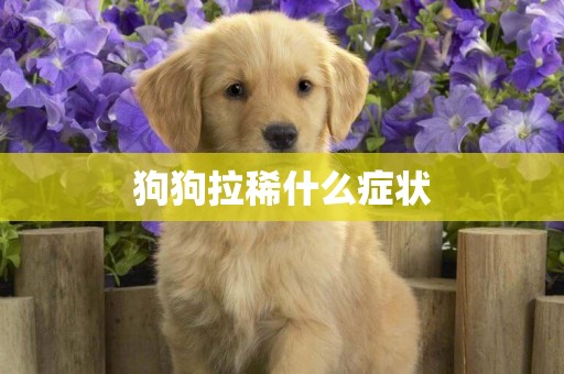 狗狗拉稀什么癥狀