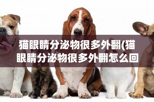 貓眼睛分泌物很多外翻(貓眼睛分泌物很多外翻怎么回事)