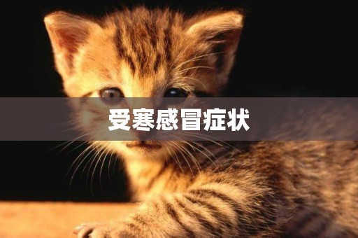 受寒感冒癥狀