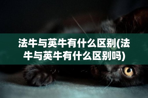 法牛與英牛有什么區別(法牛與英牛有什么區別嗎)