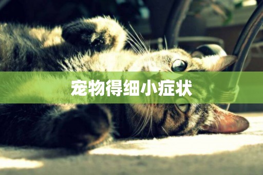 寵物得細小癥狀