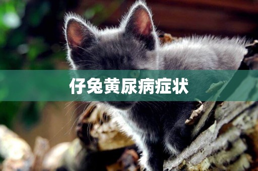 仔兔黃尿病癥狀