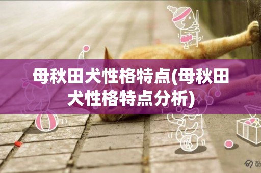 母秋田犬性格特點(母秋田犬性格特點分析)