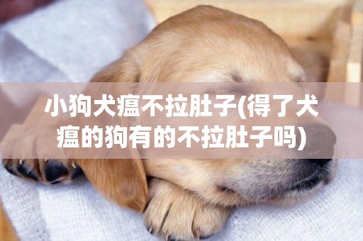 小狗犬瘟不拉肚子(得了犬瘟的狗有的不拉肚子嗎)