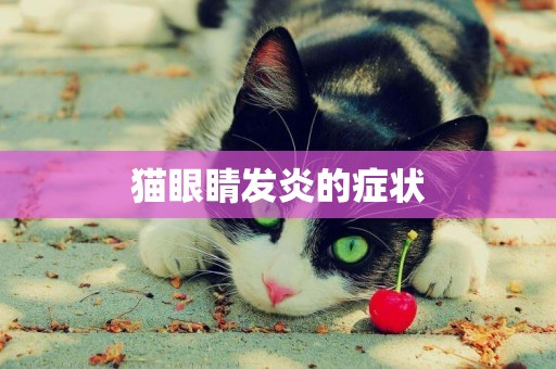 貓眼睛發炎的癥狀