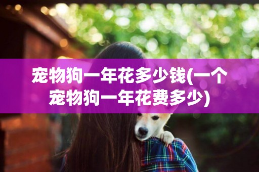 寵物狗一年花多少錢(一個寵物狗一年花費多少)