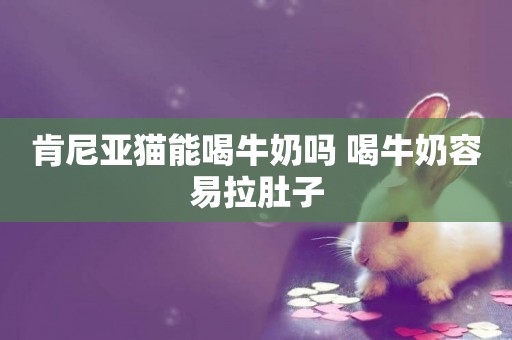肯尼亞貓能喝牛奶嗎 喝牛奶容易拉肚子