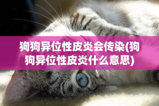 狗狗異位性皮炎會傳染(狗狗異位性皮炎什么意思)