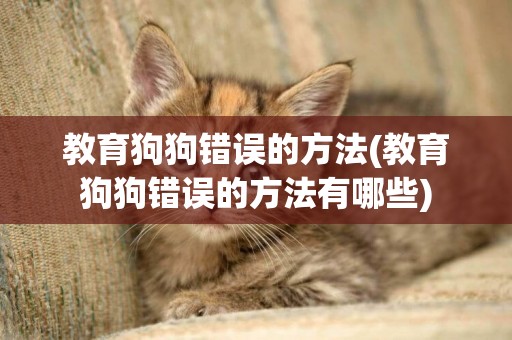 教育狗狗錯誤的方法(教育狗狗錯誤的方法有哪些)