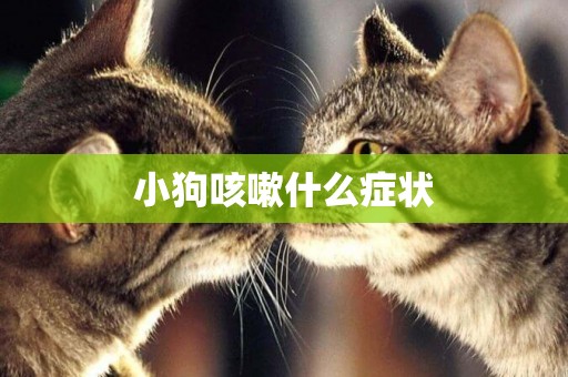 小狗咳嗽什么癥狀