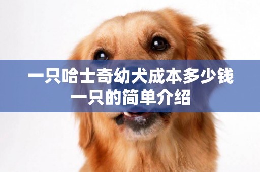 一只哈士奇幼犬成本多少錢一只的簡單介紹