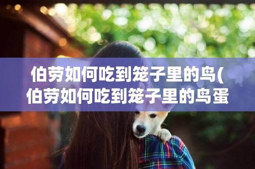 伯勞如何吃到籠子里的鳥(伯勞如何吃到籠子里的鳥蛋)