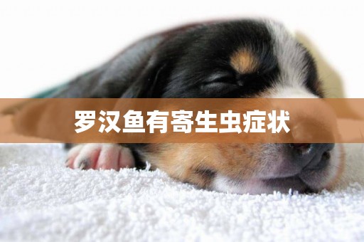 羅漢魚有寄生蟲癥狀