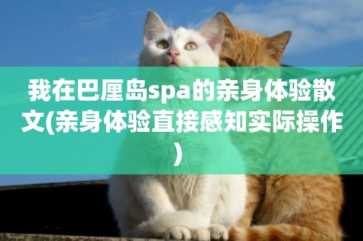 我在巴厘島spa的親身體驗散文(親身體驗直接感知實際操作) 