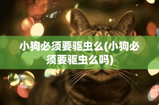 小狗必須要驅蟲么(小狗必須要驅蟲么嗎)