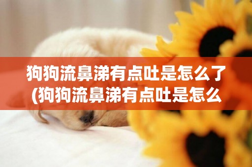 狗狗流鼻涕有點吐是怎么了(狗狗流鼻涕有點吐是怎么了呢)