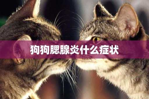 狗狗腮腺炎什么癥狀