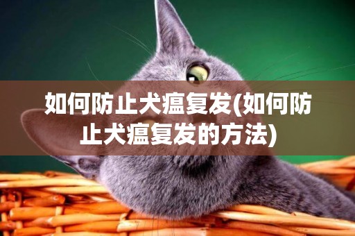 如何防止犬瘟復發(如何防止犬瘟復發的方法)