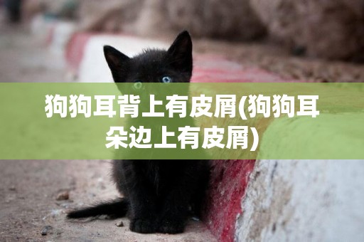 狗狗耳背上有皮屑(狗狗耳朵邊上有皮屑)
