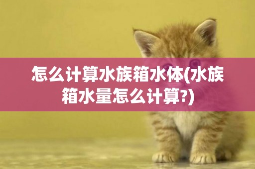 怎么計算水族箱水體(水族箱水量怎么計算?)