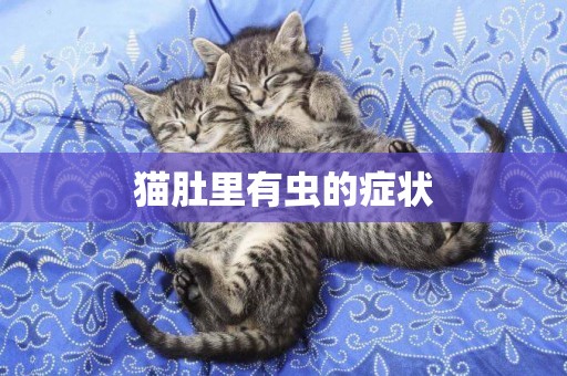 貓肚里有蟲的癥狀