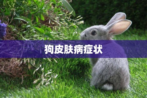 狗皮膚病癥狀