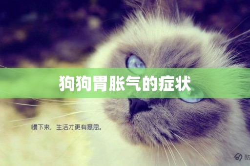 狗狗胃脹氣的癥狀