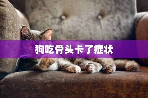 狗吃骨頭卡了癥狀