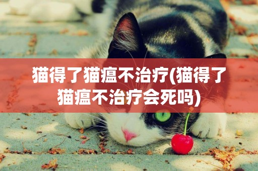 貓得了貓瘟不治療(貓得了貓瘟不治療會死嗎)